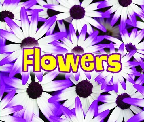 Beispielbild fr All About Flowers (All About Plants) zum Verkauf von WorldofBooks