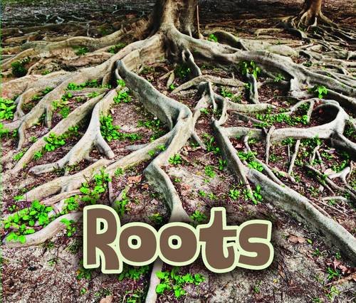 Beispielbild fr All About Roots (All About Plants) zum Verkauf von WorldofBooks