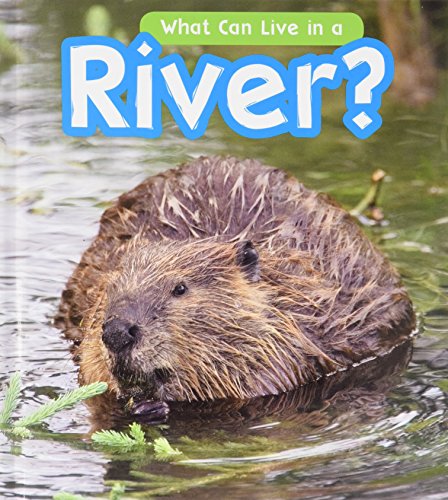 9781406284973: What Can Live in a River? (What Can Live There?)
