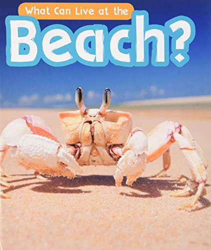 9781406285000: What Can Live at the Beach? (What Can Live There?)