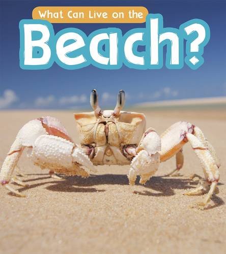 Beispielbild fr What Can Live at the Beach? (What Can Live There?) zum Verkauf von WorldofBooks