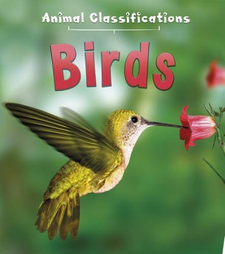 9781406287448: Birds (Animal Classification)
