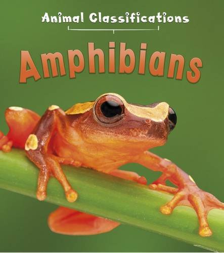 9781406287493: Animal Classification Pack a (First Library: Animal Classification)