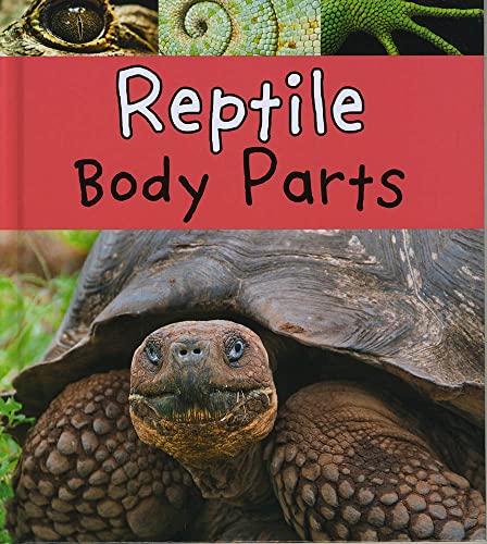 9781406298024: Reptile Body Parts (Animal Body Parts)