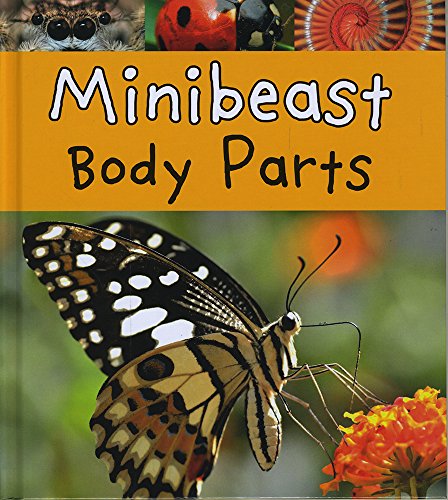 Beispielbild fr Minibeast Body Parts (Animal Body Parts) zum Verkauf von WeBuyBooks