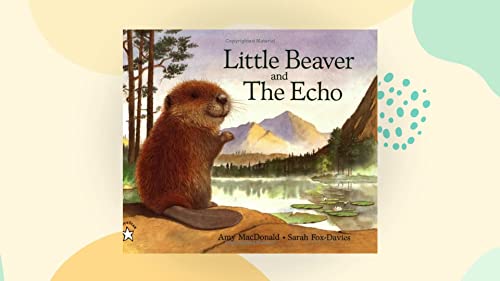 9781406307481: Little Beaver And The Echo With Dvd - Walker Out Of Print