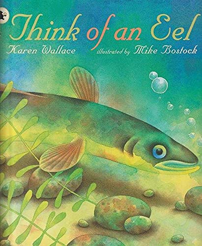 9781406312010: Think of an Eel (Nature Storybooks)