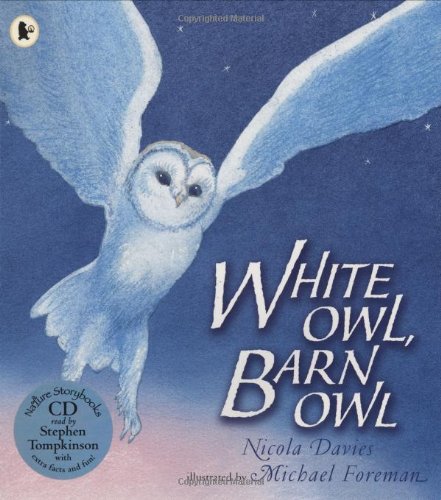 Stock image for White Owl, Barn Owl for sale by WorldofBooks