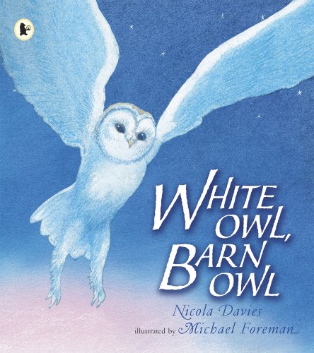 Imagen de archivo de White Owl, Barn Owl. Nicola Davies a la venta por ThriftBooks-Atlanta
