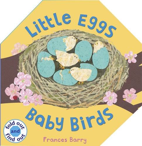 9781406313802: Little Eggs, Baby Birds (Fold Out and Find Out)