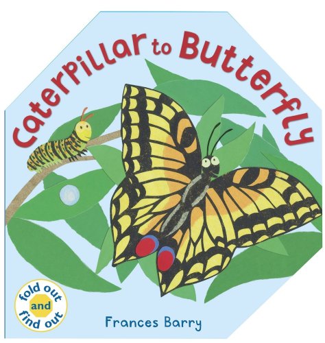 Stock image for Caterpillar to Butterfly (Fold Out and Find Out) for sale by WorldofBooks