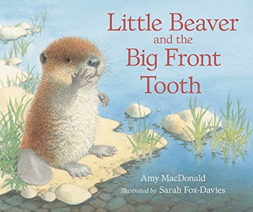 9781406320664: Little Beaver and the Big Front Tooth