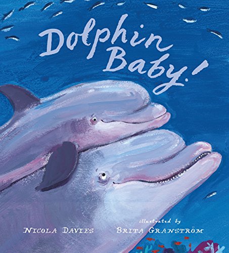 Beispielbild fr Dolphin Baby (Nature Storybooks) zum Verkauf von WorldofBooks