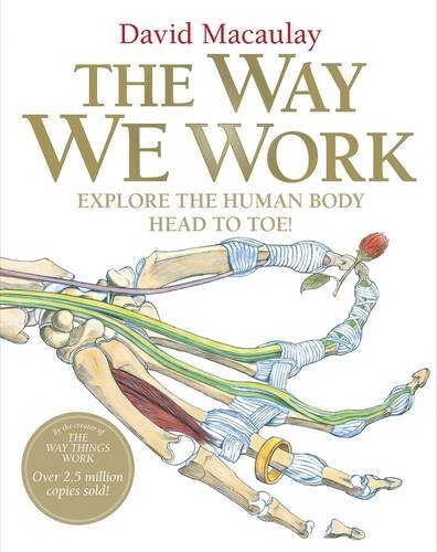 9781406322224: The Way We Work