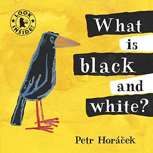 Stock image for What Is Black and White? for sale by Wizard Books