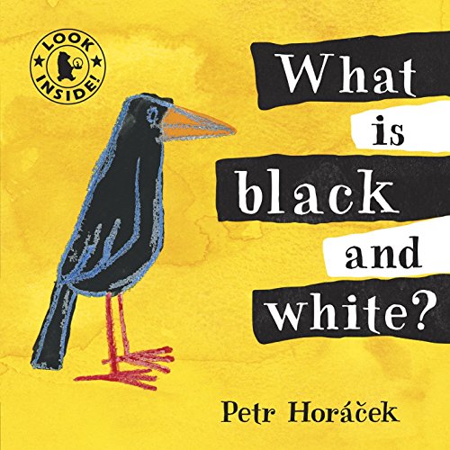 9781406325126: What Is Black and White?