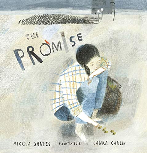 Stock image for The Promise for sale by WorldofBooks