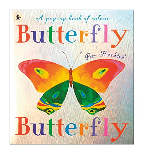 Stock image for Butterfly Butterfly for sale by GF Books, Inc.