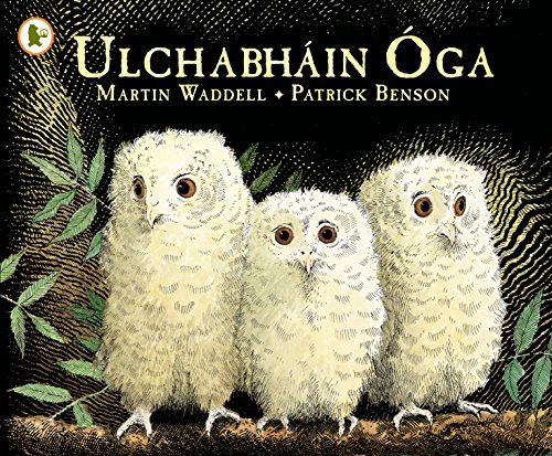9781406341126: Ulchabhin ga (Owl Babies) (Walker Eireann)