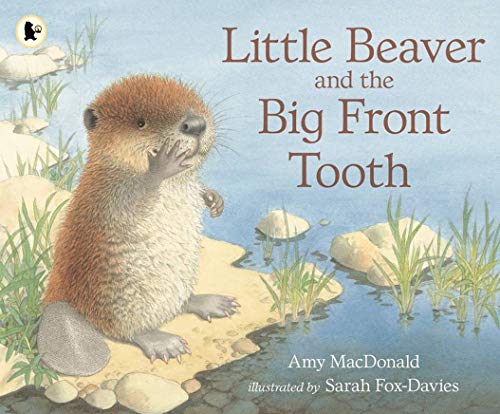 Beispielbild fr Little Beaver and the Big Front Tooth zum Verkauf von WorldofBooks