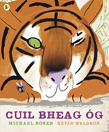 Imagen de archivo de Cuil Bheag Ag a la venta por Better World Books Ltd