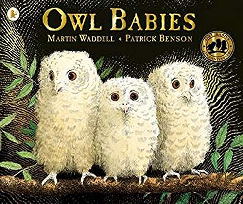 Imagen de archivo de Owl Babies 25th Anniversary Edition a la venta por Better World Books Ltd