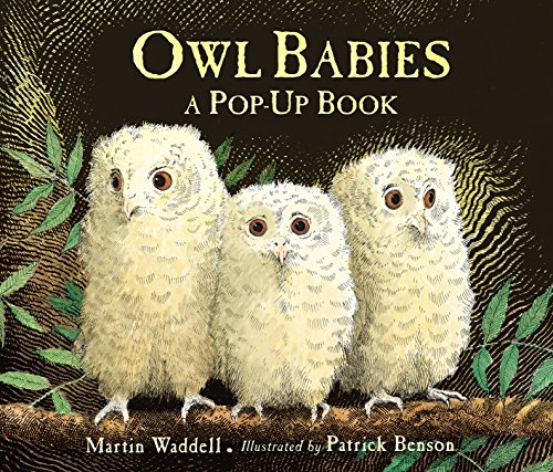 Beispielbild fr Owl Babies zum Verkauf von WorldofBooks