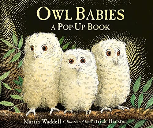 9781406352344: Owl Babies [Lingua inglese]