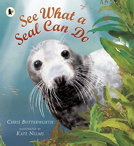 Beispielbild fr See What a Seal Can Do (Nature Storybooks) zum Verkauf von WorldofBooks