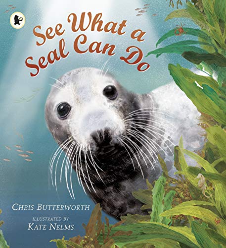 Stock image for See What a Seal Can Do (Nature Storybooks) for sale by WorldofBooks