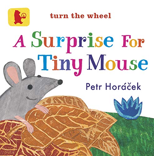 Beispielbild fr A Surprise for Tiny Mouse (Baby Walker) zum Verkauf von WorldofBooks