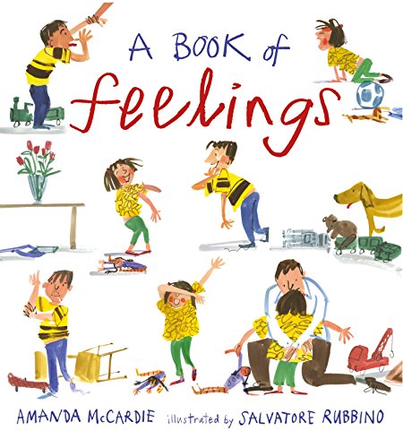 9781406355994: A Book of Feelings