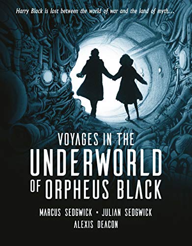 Beispielbild fr Voyages in the Underworld of Orpheus Black zum Verkauf von AwesomeBooks