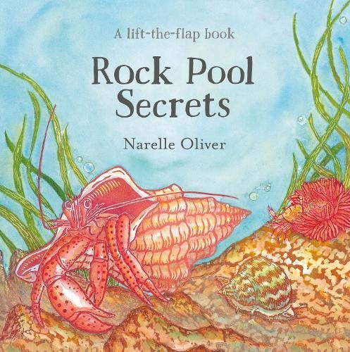 Stock image for Rock Pool Secrets for sale by WorldofBooks