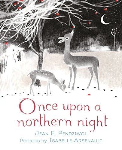 Beispielbild fr Once Upon a Northern Night zum Verkauf von Better World Books Ltd