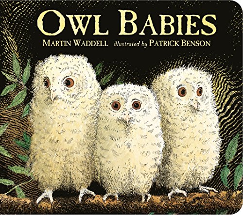 Beispielbild fr Owl Babies zum Verkauf von Wonder Book