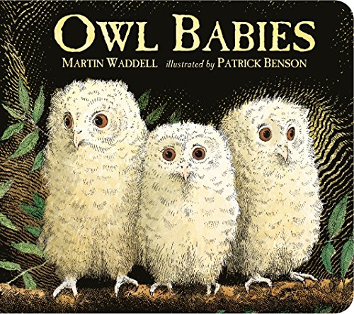 9781406364477: Owl Babies