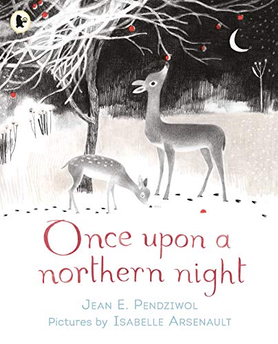 Beispielbild fr Once Upon a Northern Night zum Verkauf von WorldofBooks