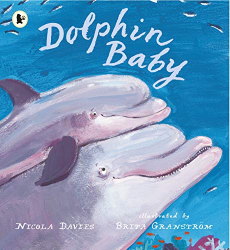 Stock image for Dolphin Baby for sale by WorldofBooks