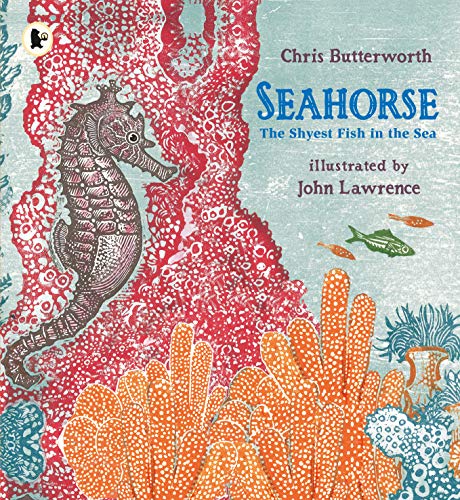 Beispielbild fr Seahorse: The Shyest Fish in the Sea zum Verkauf von WorldofBooks