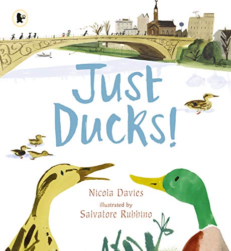 Imagen de archivo de Just Ducks! a la venta por AwesomeBooks