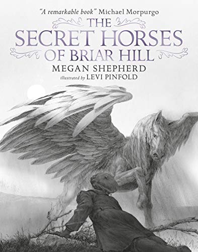 9781406367584: The Secret Horses of Briar Hill [Hardcover] [Oct 06, 2016] Megan Shepherd