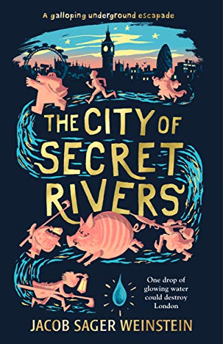 Stock image for The City of Secret Rivers for sale by AwesomeBooks