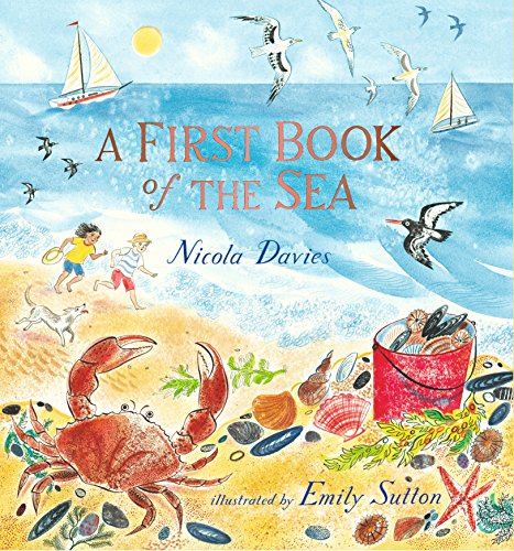 Beispielbild fr A First Book of the Sea zum Verkauf von AwesomeBooks
