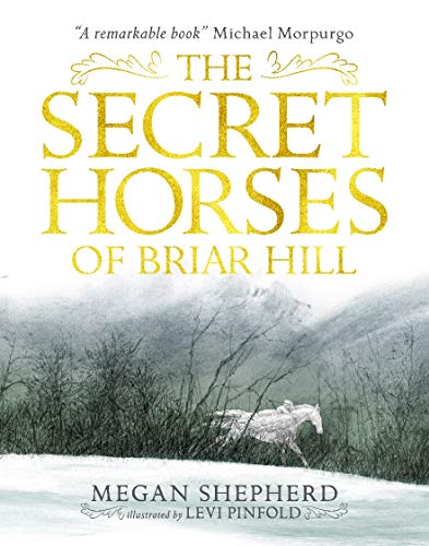 Imagen de archivo de The Secret Horses of Briar Hill a la venta por Better World Books Ltd