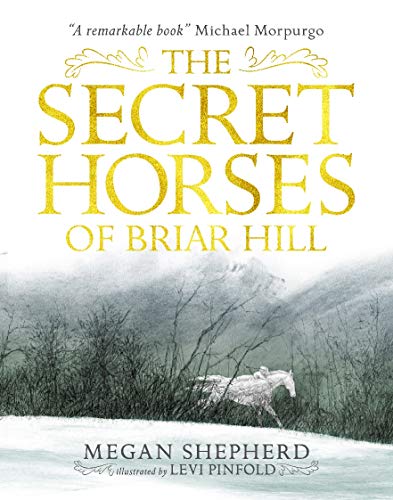 9781406373554: The Secret Horses of Briar Hill