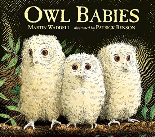 9781406374377: Owl Babies