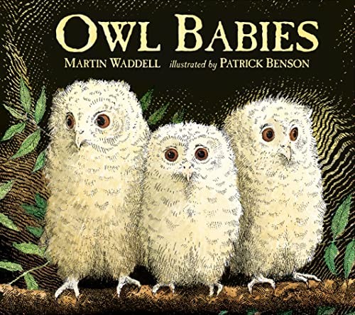 Stock image for Owl Babies: 1 for sale by AwesomeBooks