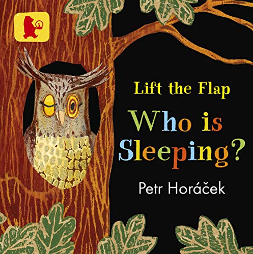 Stock image for Who Is Sleeping? for sale by WorldofBooks
