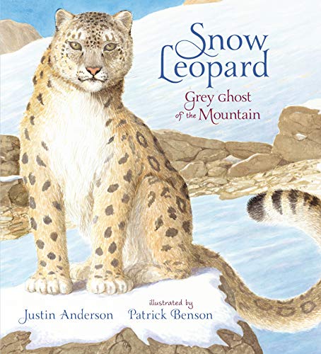 Stock image for Snow Leopard: Grey Ghost of the Mountain (Nature Storybooks) for sale by AwesomeBooks